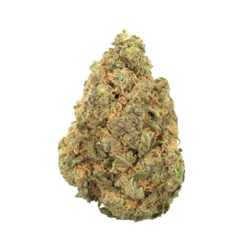 Buy Platinum Cookies Indica Cannabis Weed Deadhead Chemist Online in Canada - Nupep Shrooms