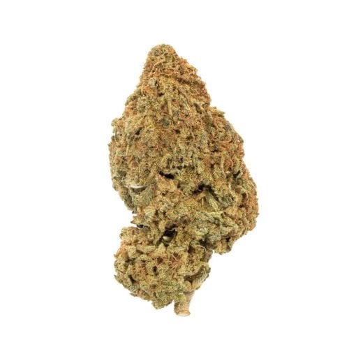 Buy Treasure Island Sativa Cannabis Weed Deadhead Chemist Online in Canada - Nupep Shrooms