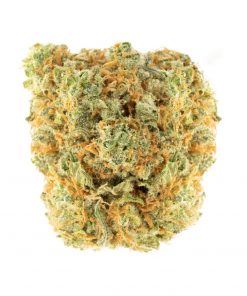 Buy UK Cheese Hybrid Cannabis Weed Deadhead Chemist Online in Canada - Nupep Shrooms