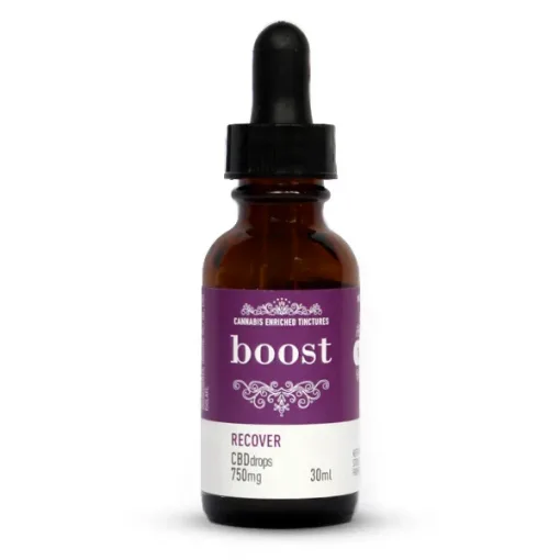 Buy Boost CBD Tincture Online in Canada - Nupep Shrooms