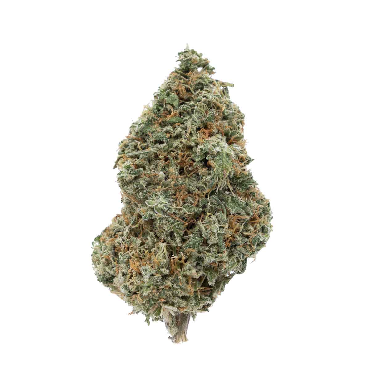 Buy Hash Plant Indica Cannabis Weed Deadhead Chemist Online in Canada - Nupep Shrooms