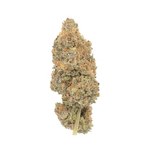 Buy Purple Haze Sativa Cannabis Weed Deadhead Chemist Online in Canada - Nupep Shrooms