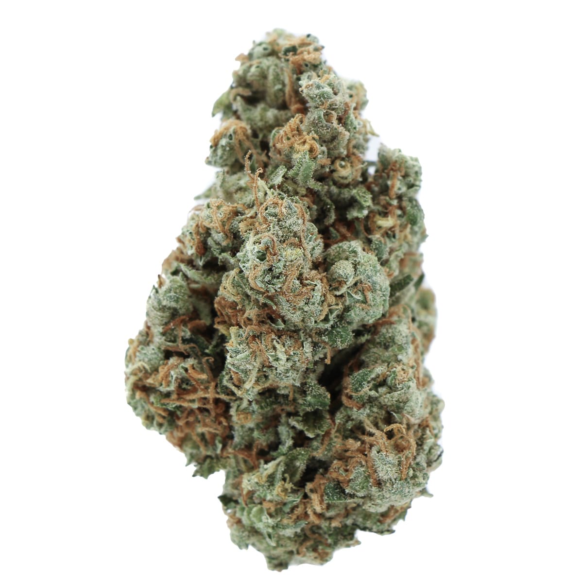 Buy Sour Ammnesia Sativa Cannabis Weed Deadhead Chemist Online in Canada - Nupep Shrooms