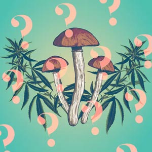 What Is Psilocybin - Nupep Shrooms Dispensary