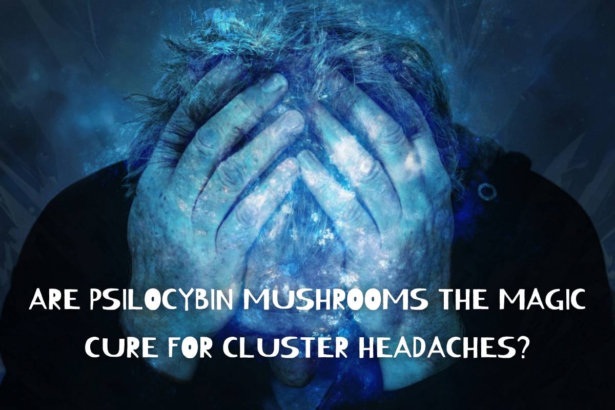 Are Psilocybin Mushrooms The Magic Cure For Cluster Headaches?