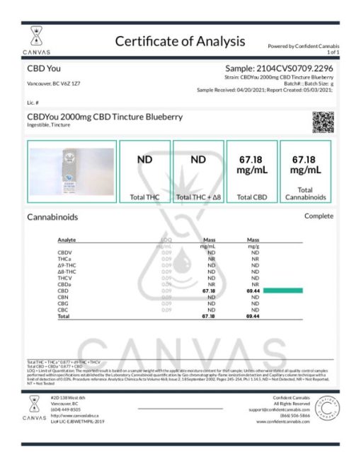 Buy CBDYou – Blueberry CBD Tincture 2000mg Online