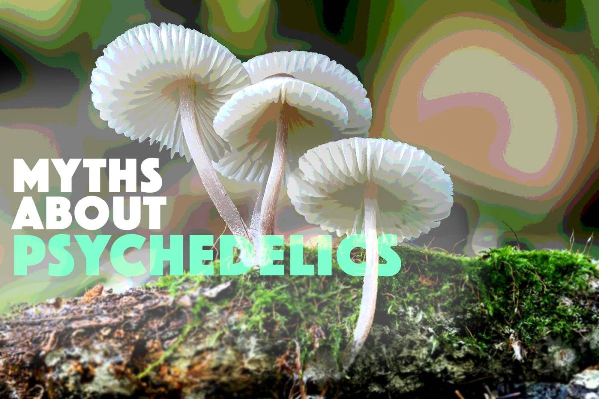 Myths About Psychedelics - Buy Magic Mushrooms Online in Canada - Nupep Shrooms