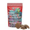 Buy Shrooms | Amazonian Magic Mushroom Chocolates 1000MG Online