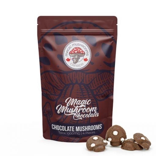 Buy Chocolate Mushrooms | 1000mg | Magic Mushroom Canada Online