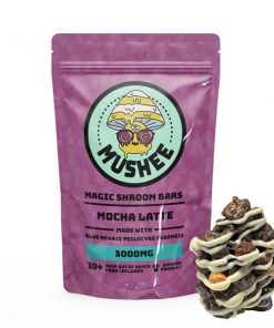 Buy Magic Mushroom Mocha Latte Cereal Bar- 3000MG – Mushee Online