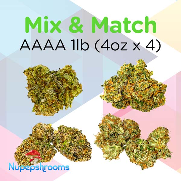 Mix And Match Bud Aaa 1Lb 4Oz X 4 11