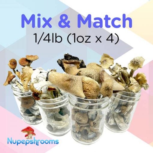 mix-and-match-1-4lb-(1oz-x-4)