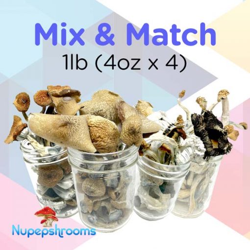 Mix And Match 1Lb 4Oz X 4