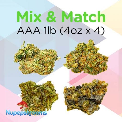 Mix And Match Bud Aaa 1Lb 4Oz X 4