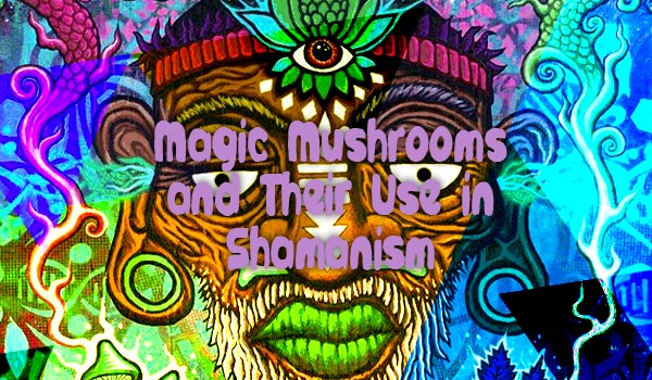 Shamanism And Shrooms