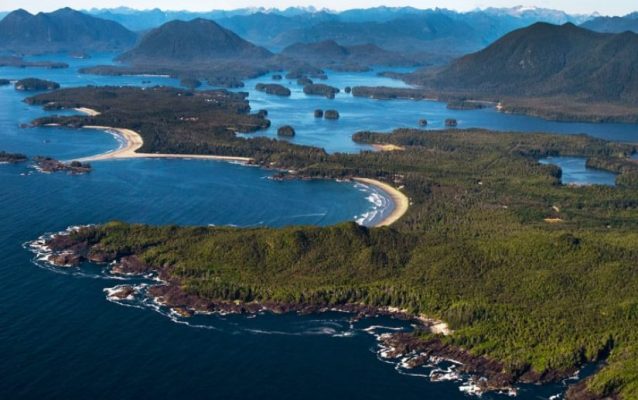 Tofino Downtown