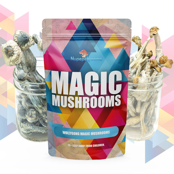 Magic Mushrooms