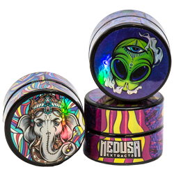 Black Mushrooms Jars Medusa