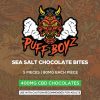 Sea Salt Chocolate Bites 400Mg Cbd