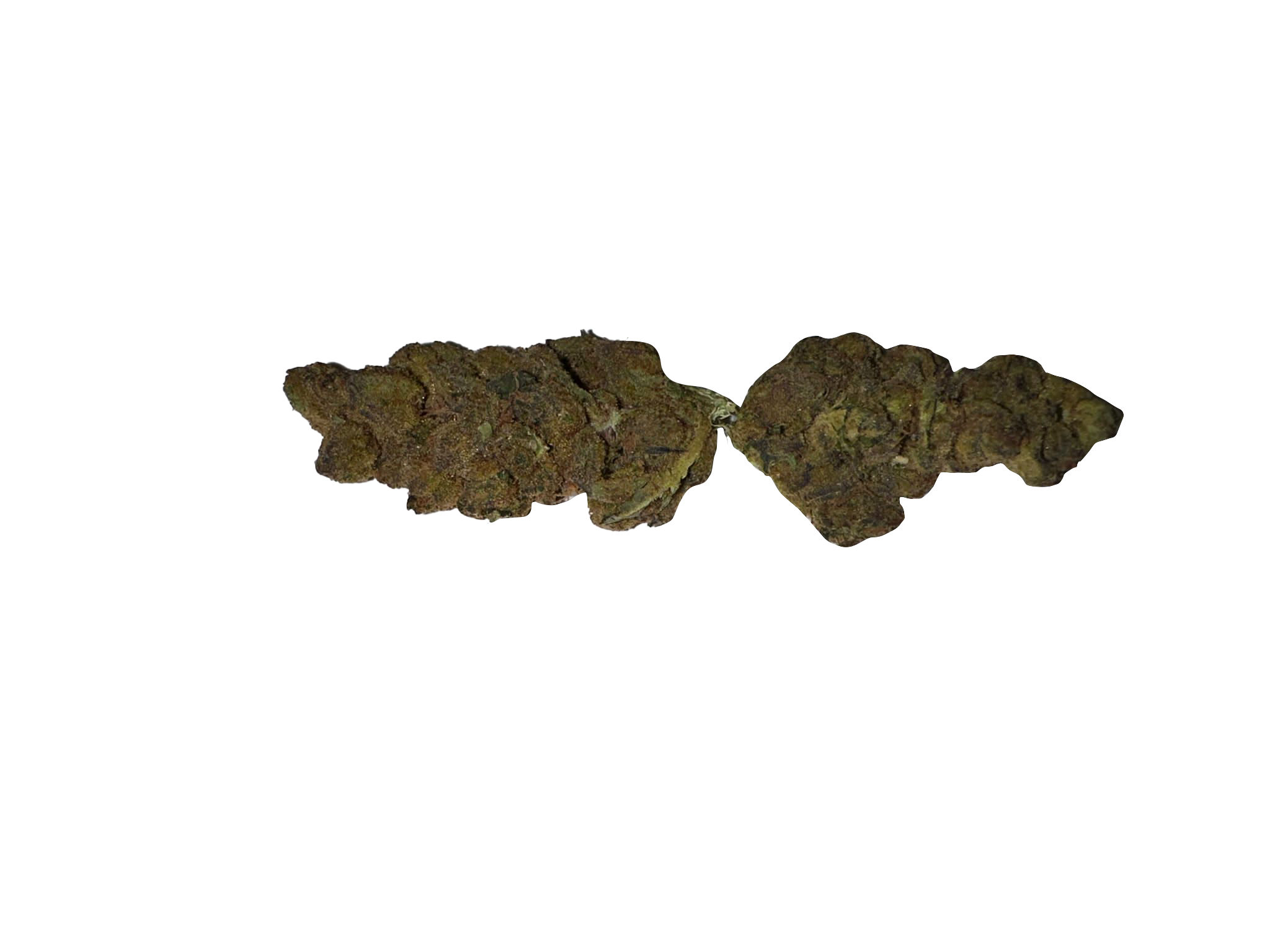 BLOW OUT SALE Wedding Pie Hybrid