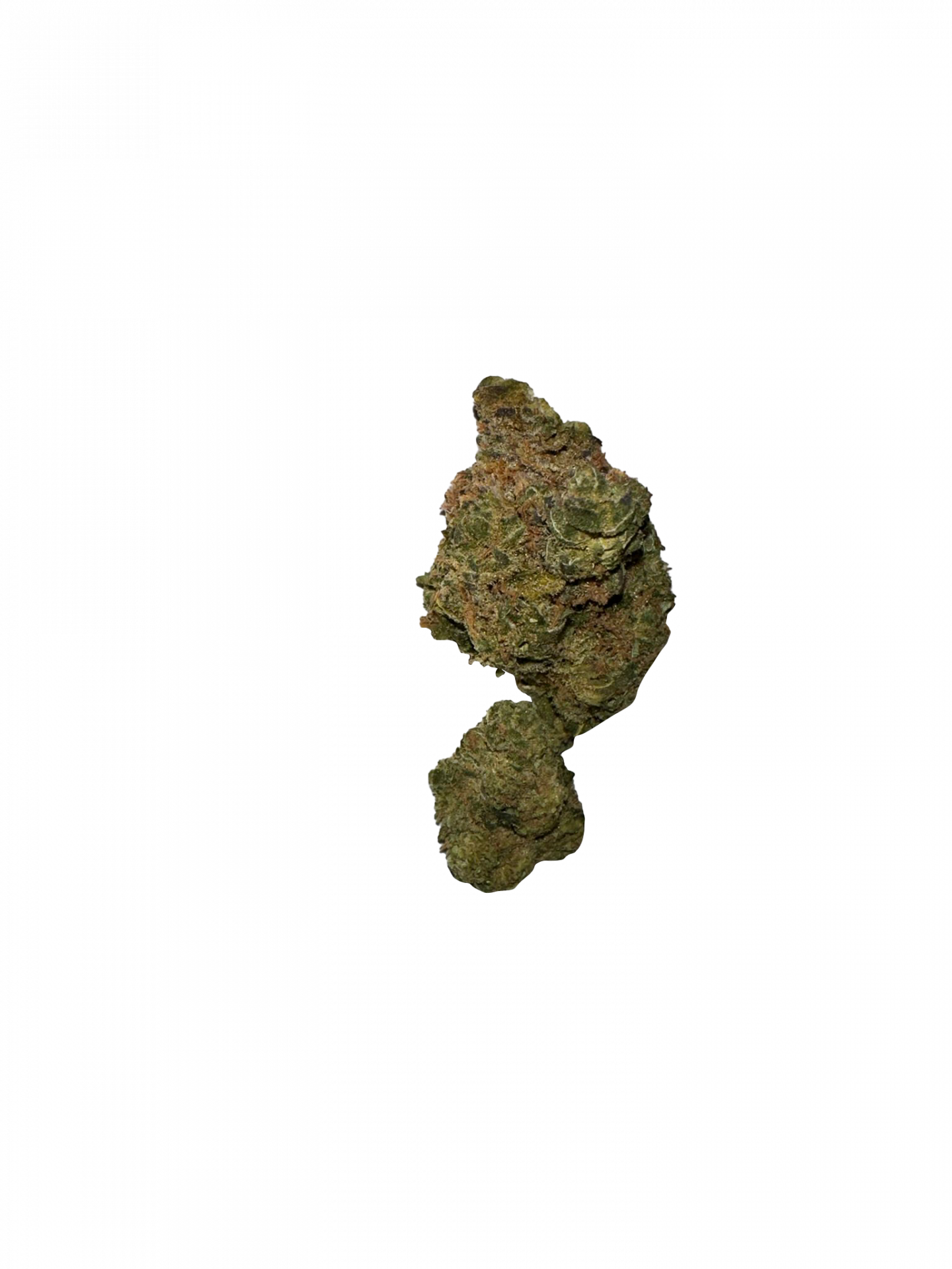 BLOW OUT SALE Shishkaberry