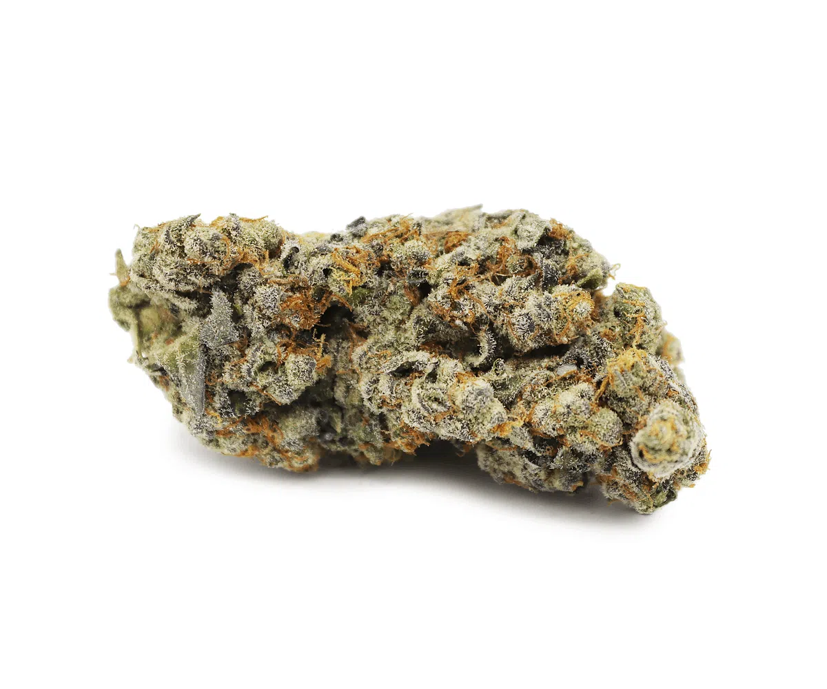 Gelato indica