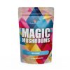 Bluey Vuitton Magic Mushroom