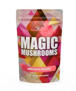 Enigma Calypso Freeze Dried Magic Mushroom 3.5G