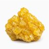 Pure Yellow Molly