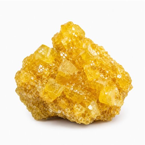 Pure Yellow Molly - Image 1