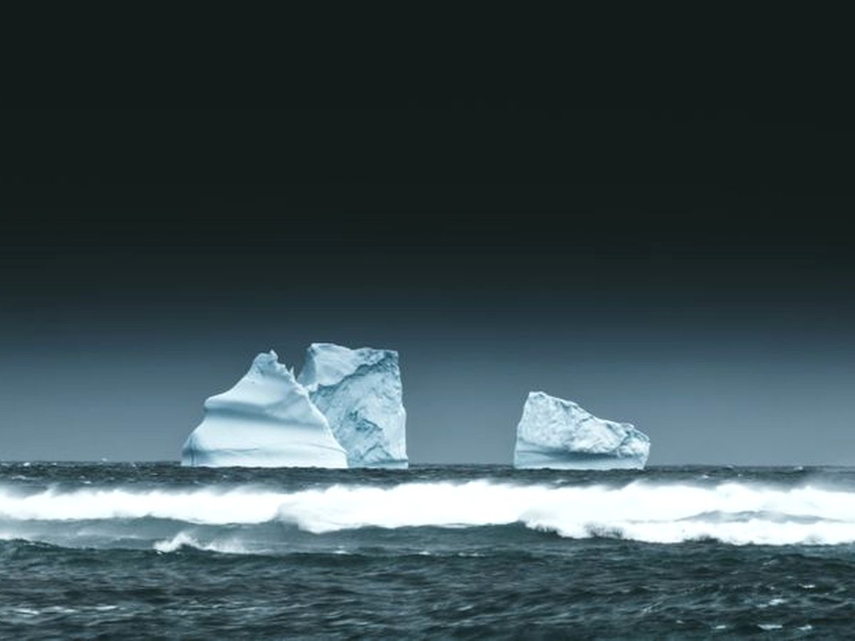 Icebergs off the Newfoundland coast